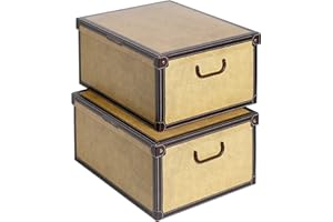 Lavatelli Set 2 pezzi Scatole armadio in cartone, organizer per vestiti e biancheria, per cambio stagione, Tapirus 50x40xh25 cm