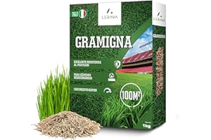LERAVA Semillas césped grama gruesa (1 kg) - Para 100 m² - Césped pisable y resistente a la sequía - Ideal para zonas mediterráneas y cálidas - Consume hasta un 20% menos de agua