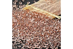 FENGCHUANG Strass 4000 Pcs in Oro Rosa, Decorato con Cristalli di Coriandoli, Diamanti Acrilici, Strass, Gioielli, Riempimenti di Vasi Per Matrimoni e Feste di Compleanno di Natale