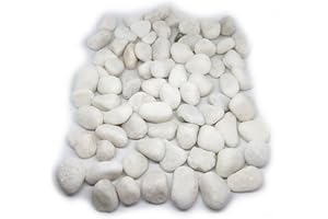 1Buy UK 1kg New White Natural Decorative Stones Pebbles Craft Table Decoration Pot Vase Fillers Garden Weddings Rocks Aquarium