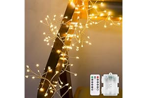 CCILAND 3m Remote Garland String Lights for Bedroom, 8 Mode 200 LED Cluster Light Battery Operated with Timer, Dimmable Wedding Party Decor Light for Tree Vase Window (Warm White, Silver Wire)