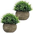 BELLE VOUS Mini Artificial Potted Plants (2 Pack) - Fake Green Grass Topiary Shrubs with Grey Pot - Small Faux Plastic Indoor & Outdoor Home Decor, Office & Bathroom Greenery Decoration