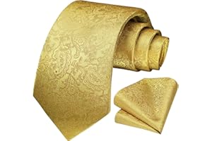 HISDERN Cravatta Uomo Tinta e Fazzoletto Elegante Classico Paisley Cravatta Set per il Matrimonio Festa Lavoro Laurea