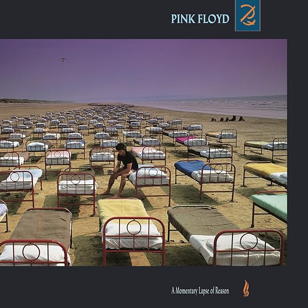 A Momentary Lapse Of Reason: Remixed & Updated [VINYL] by : Amazon