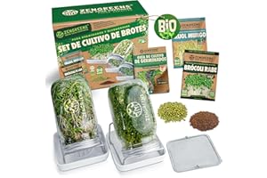 zengreens - Juego de 1, 2, 3 tarros de germinados ecológicos + Bandeja DE GERMINADOS - (Incl. Semillas de germinados ecológicos y Curso de vídeo Gratuito) - Juego de tarros de germinados (Set de 2)