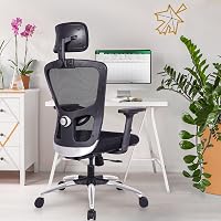 Green Soul ''Jupiter-Superb'' High Back Mesh Home & Office Ergonomic Chair with Multi-Tilt Lock Mechanism, 2-Dimensional…