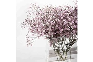 FranquiHogar | Florero de Cristal Rectangular Ideal para decoración | Capacidad de hasta 1,5 L y 15,7 cm de Altura | Modelo Nimes | Menaje Hogar Transparente