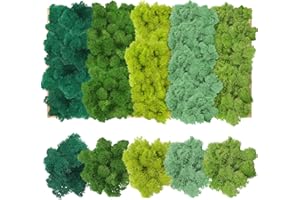 MKITNVY Mousse de Renne,Mousse Séchée pour Décorations,Murs de Mousse, Mousse Préservée, 200g,5 Couleurs,pour les tableaux de mousse, comme décoration ou pour l'artisanat