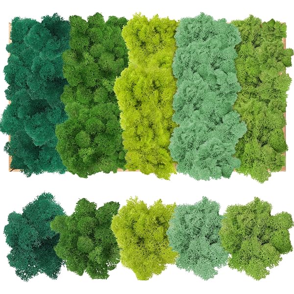 Polvere Di Erba Artificiale Muschio Per Diorami E Modellismo Ferroviario, 30g, 3-5mm, Colori Vari (Verde Brillante)