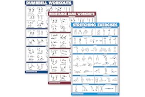 Palace Learning 3 Pack: Dumbbell Exercise Poster + Resistance Bands Workouts + Stretching Exercises - Set of 3 Workout Charts (LAMINATED, 18" x 24")