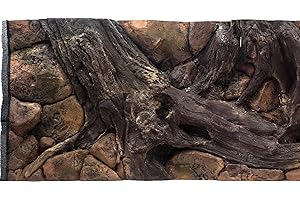 WYSKONT Fondo per Acquario 3D Zante - Fondo per Acquario - Accessori per Acquario - Fondo - Decorazione per Acquario - 100x60 cm - Colore Marrone - Acquario Grande