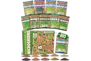 ZenGreens® - Semillas germinadas eco set de 10 - semillas de germinados - fácil cultivo en un tarro de brotes o bandeja de semillas - pack de prueba - 10 variedades diferentes - set de 10