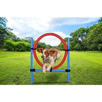 Set Agility Per Cani Maxxpro - 3 Bastoni Salto | Plastica Resistente | Blu/Rosso | Per Allenamento Divertente