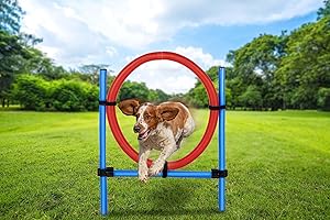 PHILIPS maxxpro Agility Ring - Set Agility für Hunde - 85 x 3 cm - Kunststoff - Blau/Rot