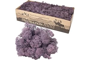 FLOWERBOX Cartone islandese muschio melanzane - 500g