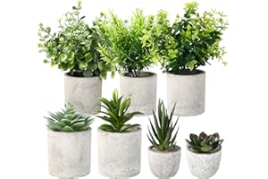 BUCOMTU 7 Piezas Plantas Decorativas,Pequeño Plantas Artificiales con Macetas Plantas Artificiales para decoración de salón, Dormitorio, Oficina