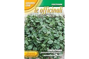 PRGN SEMI CRESCIONE DELLE FONTANE OFFICINALE FRANCHI SEMENTI