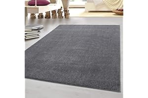 ‎HOMEBYHOME HomebyHome Teppich Wohnzimmer 140x200 cm Hellgrau Einfarbig Design - Schlafzimmer Teppich Kurzflor Extra Weich Pflegeleicht Gabbeh Optik Teppiche für Küche Esszimmer Jugendzimmer Kinderzimmer