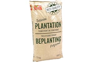 La Plaine Chassart - Terreau Plantation 