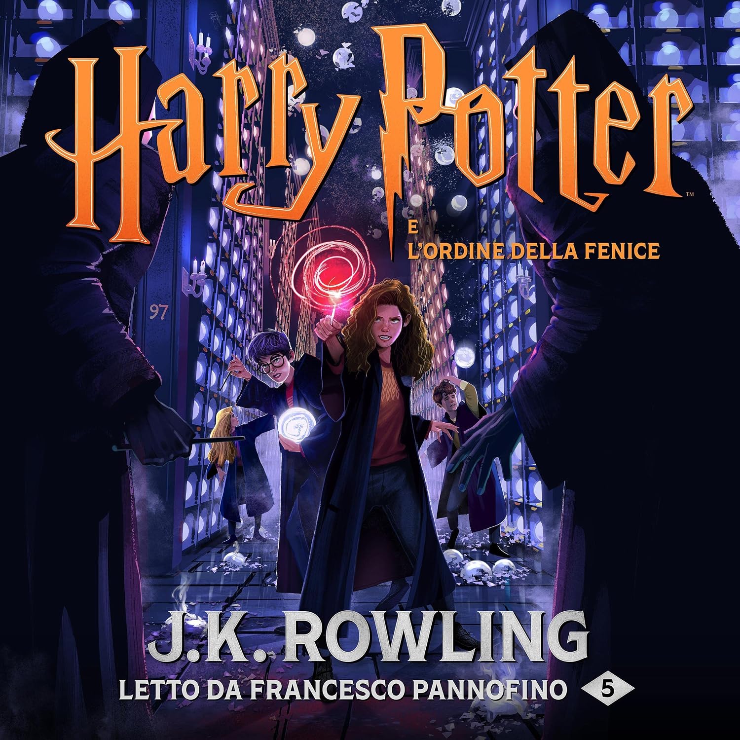 Prise en Main & Utilisation au Quotidien : Harry Potter e l Ordine della Fenice Harry Po