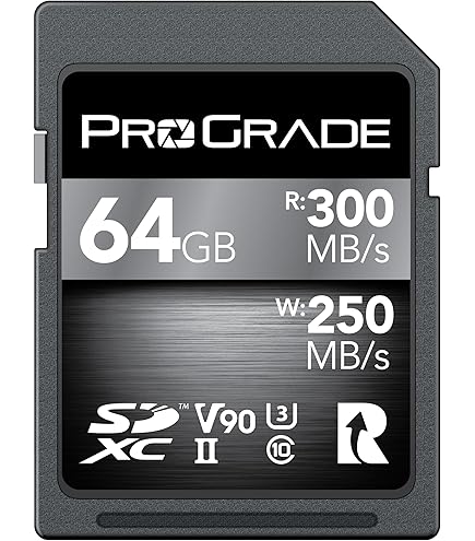 ProGrade Digital 165 GB CFexpress Type B Speicherkarte: Amazon.de