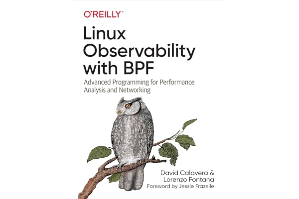 Linux Observability with Bpf: Advanced Programming for Performance Analysis and Networking