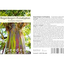Seedeo® Roter Eucalyptus Samen – 20 Stück, Eucalyptus Ficifolia Aus Australien