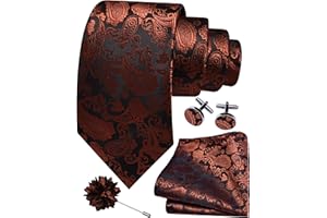 Gusleson 3.15"（8cm） Mens Paisley Tie and Lapel Pin Necktie Hankerchief Cufflinks Set for Men