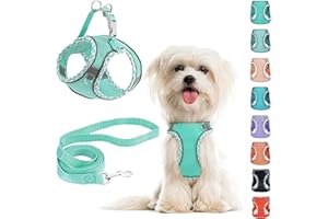 PERFFI Hundegeschirr Kleine Hunde mit Leine, kein Ziehen, verstellbar, reflektierendes, atmungsaktives Netzgewebe für extra kleine/kleine und mittelgroße Hunde, Katzen, Welpen (Grün, S)