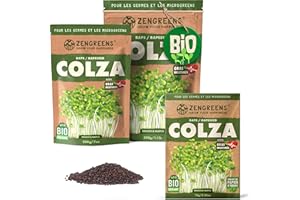 ZenGreens® - Graines de colza bio - Choisissez entre 10g, 200g et 500g - Graines de colza avec un taux de germination supérieur à 97% - Microgreens