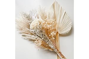 VELAFEE Sweet Dried Flowers Bouquet for Room Decor Cake Decor - 28 Stems - 1 Cream Palm Leave 15 Nature Reed 5 White Reed 2 Millet 2 Babybreath 1 White Orange 1 Ruscus 1 Sole flower