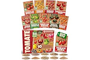 ZenGreens® - Set de semillas de tomate eco - 10 variedades para cultivar fácilmente en el jardín, balcón o parterre elevado - Sementes verduras