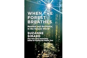 When the Forest Breathes: Renewal and Resilience in the Natural World