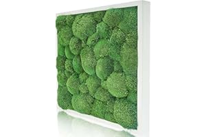 Naturewalls Parent- Moosbild KM (Weiß, 55 x 55)