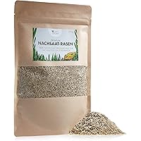 Premium Rasensamen 200g für einfache Rasen Nachsaat ohne Umgraben: OwnGrown Grassamen für schnelle Rasen Reparatur…