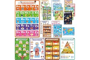D-FantiX 20 Laminated Educational Posters for Toddlers 1-3, Toddler Learning Posters for kids ages 3-5, Preschool Kindergarten Classroom Must Haves Homeschool Classroom Decor