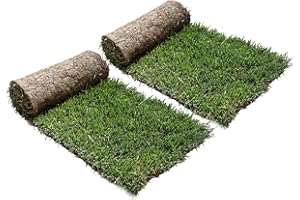 Ricarica XL PetZolla Cane - Traversina per cani in vero prato naturale e atossico 100x90 cm, Ricambio facile da sostituire per il Kit Cane XL, Lettiera per cani grandi dura oltre le 4 settimane