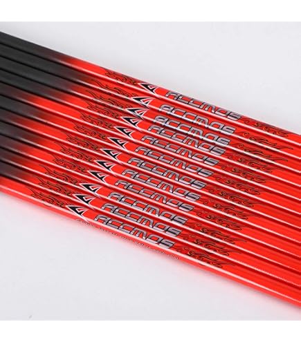 Arc Recourbé 56" Et 12 Flèches Carbone Pour Chasse/cible - Toparchery