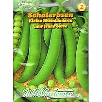 künstlicher türkranz weihnachten Türkranz für Weihnachten mit Beleuchtung