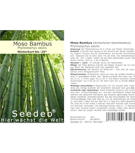 t-shirt bambus Petrol bamboo T-shirt main image 0