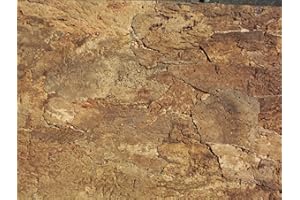 IBERIA KORK-ZOOBEDARF Korkrückwand innen Desert 90x60 cm, Terrarium, Kork Rückwand (92016)