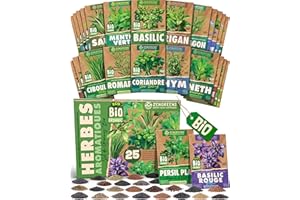 ZenGreens® - Kit de graines de herbes aromatiques bio - 25 variétés pour une culture facile dans le jardin, sur le balcon ou dans une jardinière surélevée - Semences légumes