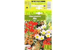 AGRONOM TESTED IN THE GARDEN AGRONOM | TULIPANES - MIX BOTANICZNY | Bulbos de flores perennes | Flores mezcla | Se cultivan en jardines de flores, macetas, se plantan en céspedes en flor | Paquete de 5 bulbos de flores