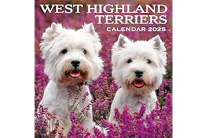2025 Scotland Calendar: West Highland Terriers - Square Wall Calendar - Month to View - 12 Months