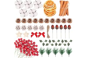 LEUOSO Christmas Wreath Making Supplies, 209Pcs Xmas Wreath Making Kit Artificial Berries Pine Branches Dried Orange Slices Acorn Cinnamon Star Anise for Christmas Wreath Craft Decoration
