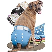 3 stuks loopsheidsbroek voor teven, hondenluiers voor honden, in