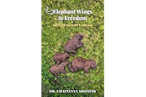 Elephant Wings to Freedom: Mother Nature’s Dream