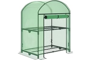 Outsunny Mini Invernadero de Jardín con 2 Estantes Metálicos y Cubierta de PE, Invernadero Compacto para Balcón y Patio 69x49x91cm, Verde