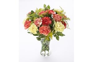 Sendabunch Luxury Mixed Carnation Bouquet - 18 Fresh Stems with Free Box of Belgian Chocolates & Gift Message Card - UK Flower Delivery for Valentines Day, Birthday, Mother’s Day & Special Occasions