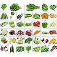 Agnico 40 Varieties of Vegetable Seeds 2600+ High Germination Seeds For Your Garden With Instruction Manual